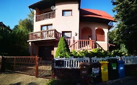 Irysek